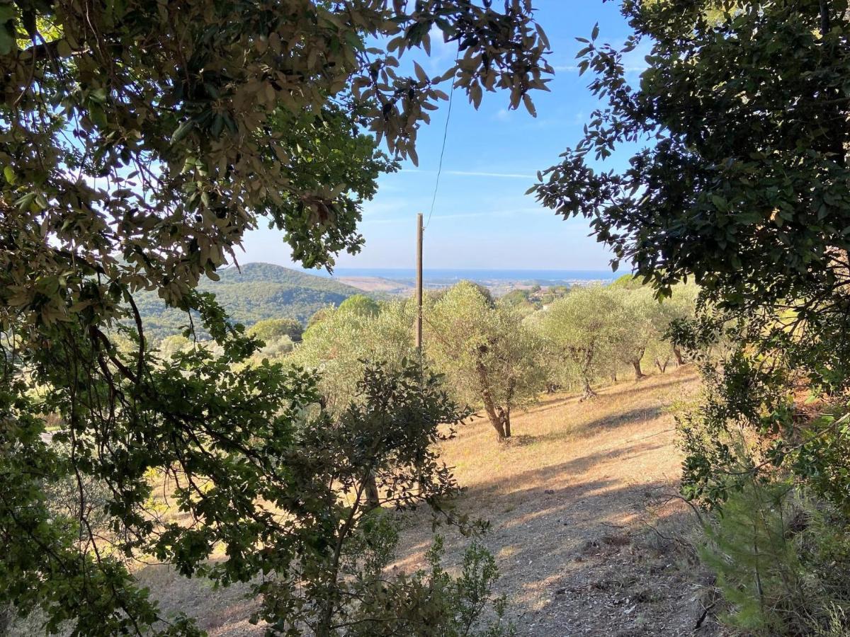 Locazione Turistica Home Relax Castellina Marittima Esterno foto