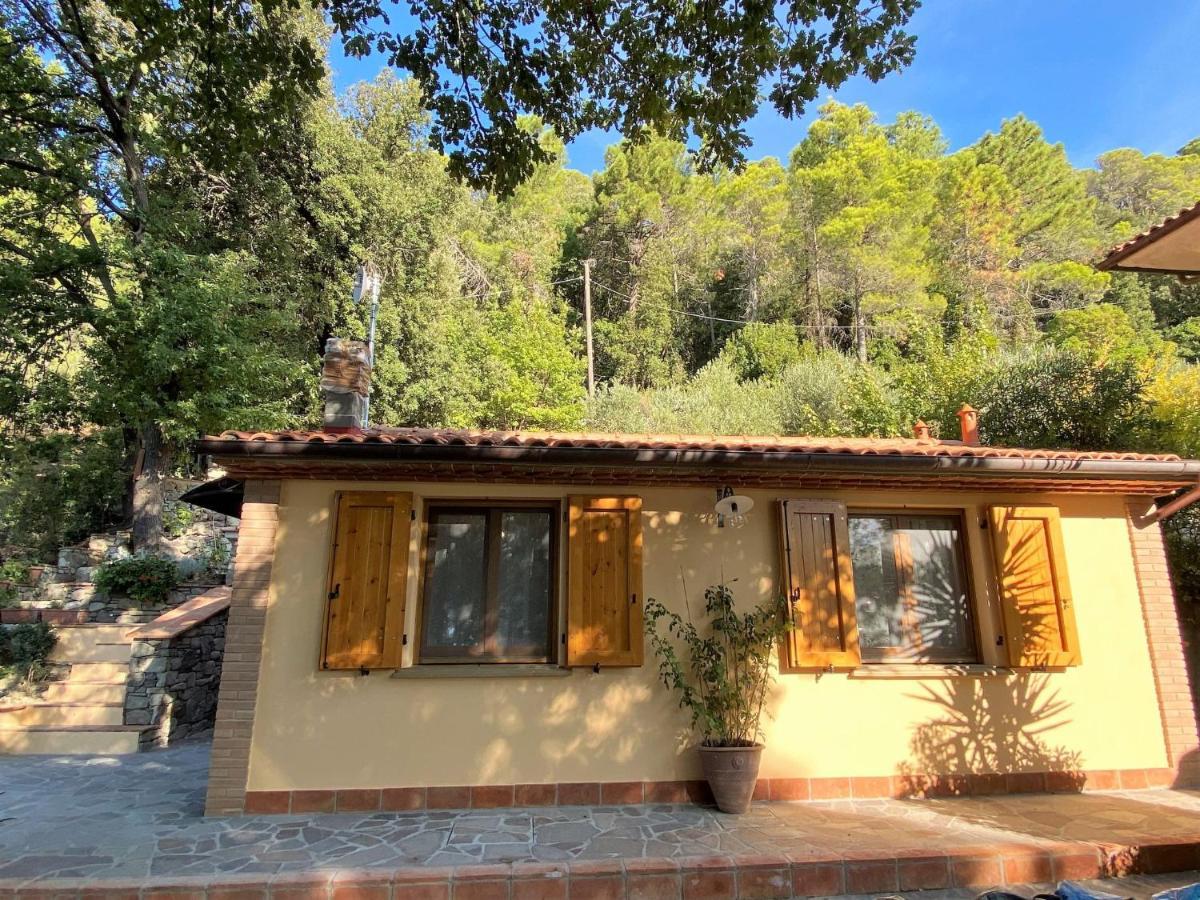 Locazione Turistica Home Relax Castellina Marittima Esterno foto
