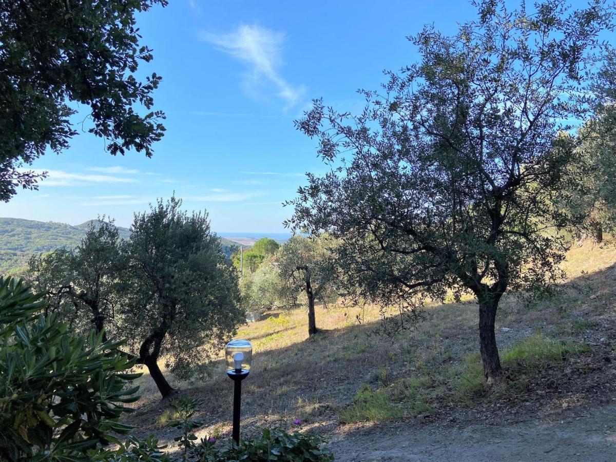 Locazione Turistica Home Relax Castellina Marittima Esterno foto