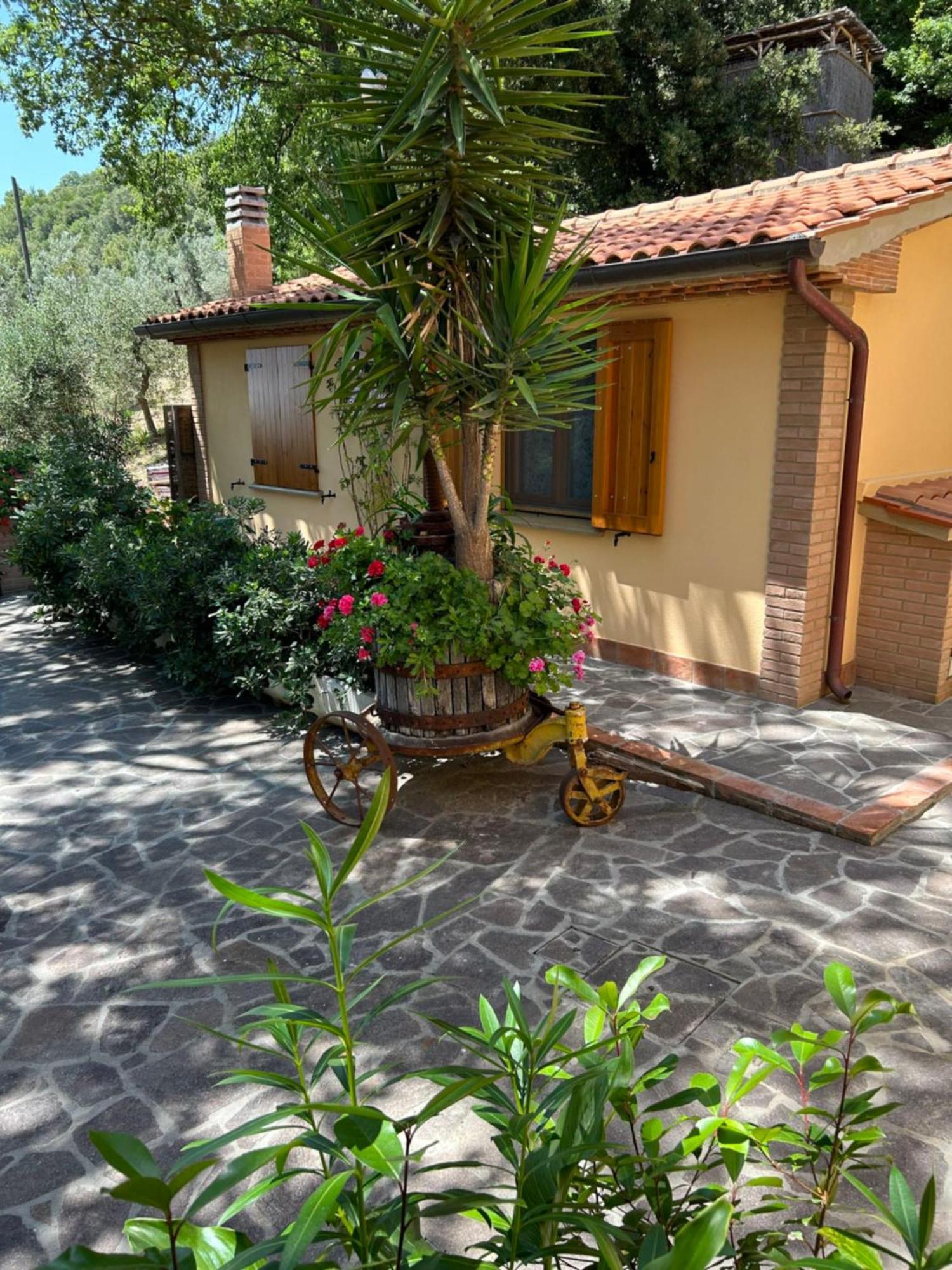 Locazione Turistica Home Relax Castellina Marittima Esterno foto